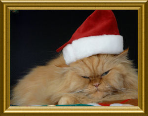 garfield_weihnachten_kl_07