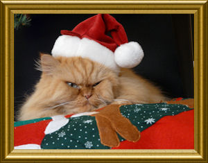 garfield_weihnachten_kl_08