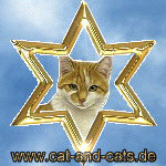 cat-and-cats, fuer Katzenfreunde