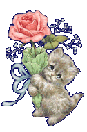 cat_14