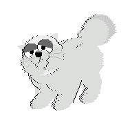 cat_15