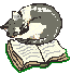 cat_18