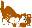 cat_20