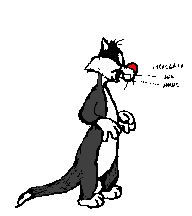 cat_26