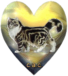 glitzerbild_katze_02