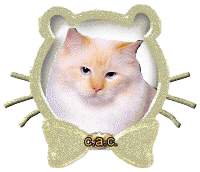 glitzerbild_katze_04