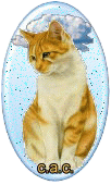 glitzerbild_katze_05
