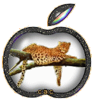 glitzerbild_katze_08