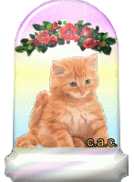 glitzerbild_katze_09