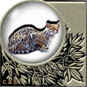 glitzerbild_katze_10