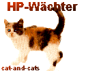 hp_waechter_katze_16