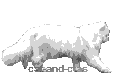 hp_waechter_katze_17