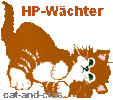 hp_waechter_katze_18