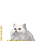 hp_waechter_katze_19