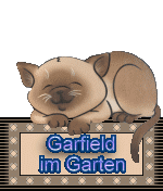 /garfield_im_garten