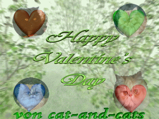 http://www.cat-and-cats.de/images/index_bilder/valentin.gif