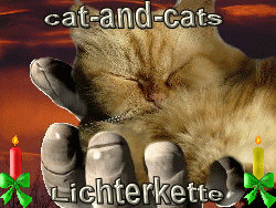 Lichterkette_cat-and-cats