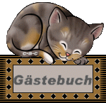 blinkie_gaestebuch_03