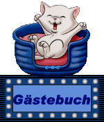 blinkie_gaestebuch_04