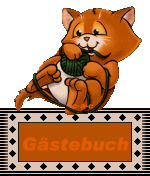blinkie_gaestebuch_05